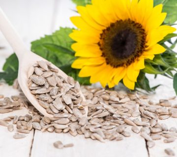 Sunflower Seed Protein Powder | Organic Foods UK | Impact Foods