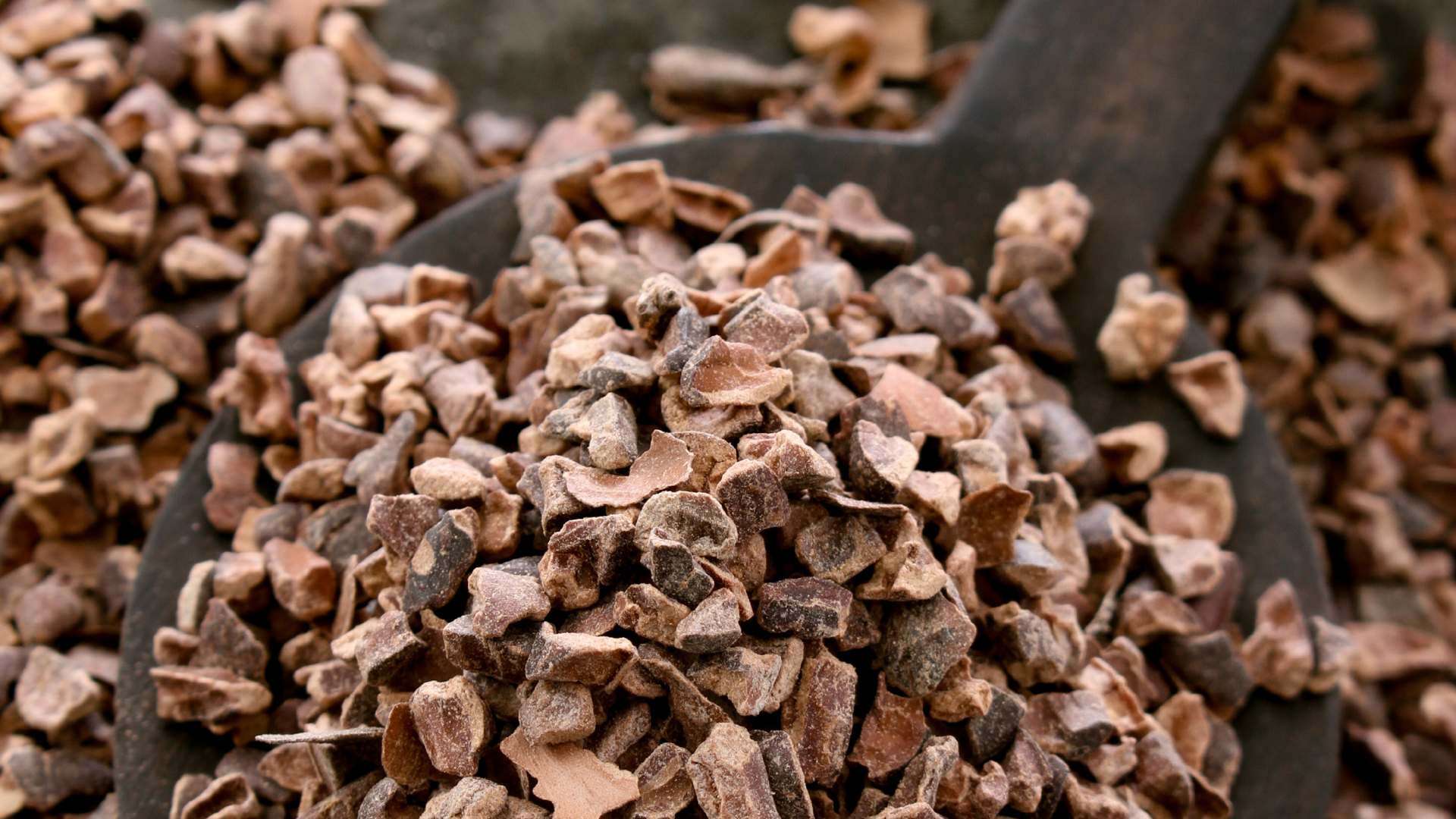 These Cacao Nibs Health Benefits Are Sure to Blow Your Mind Impact